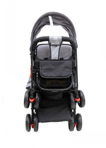 Double Twin Baby Stroller Image