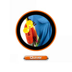 Bow And Arrow Combination Image