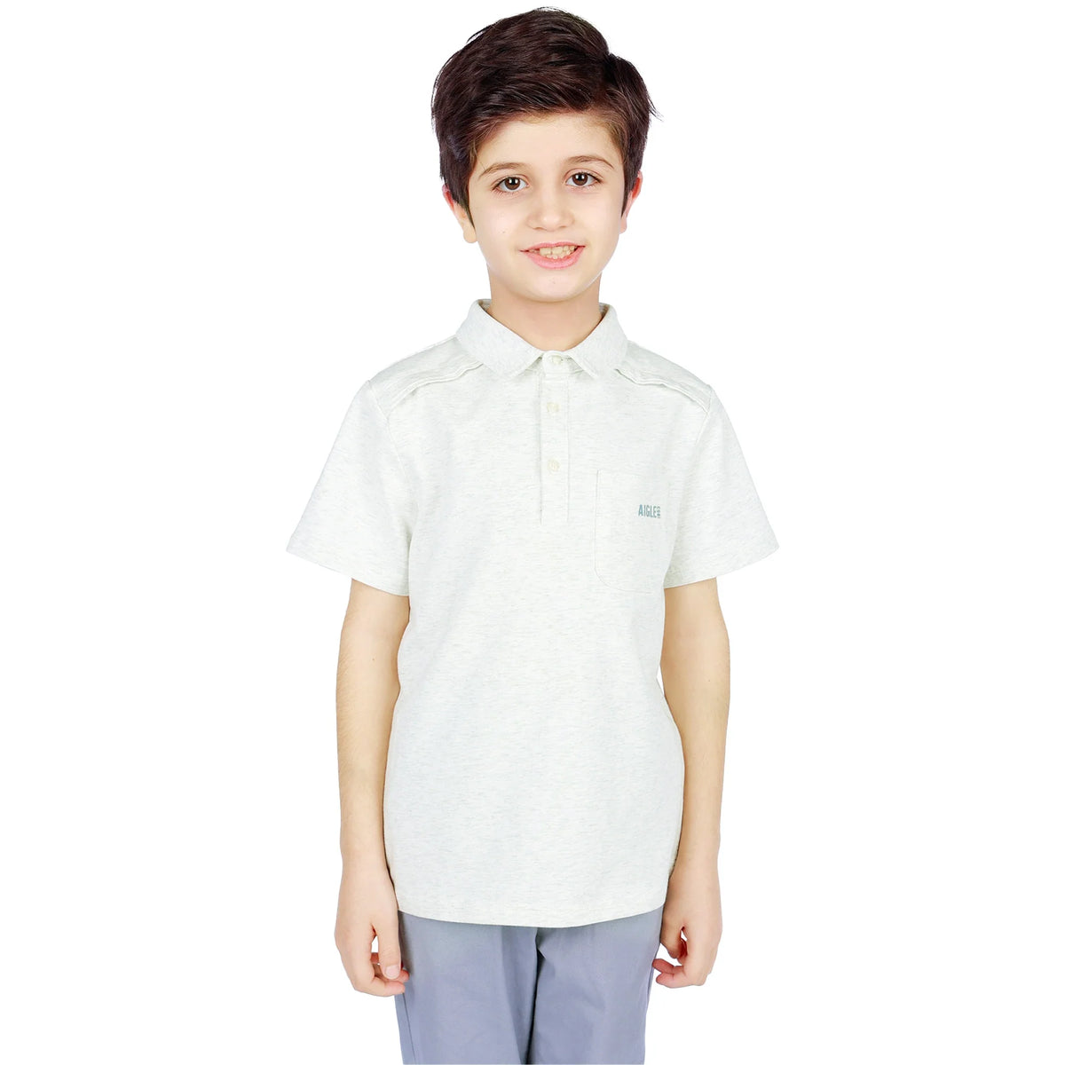 Light Gray Printed Classic Polo Shirt for Boys Image