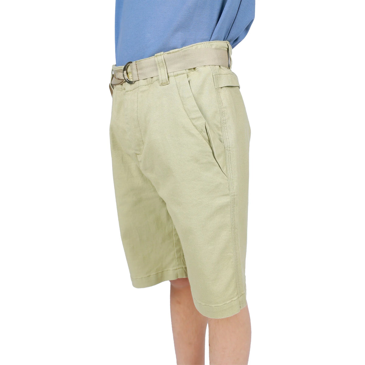 Plain Classic Shorts for Boys Image