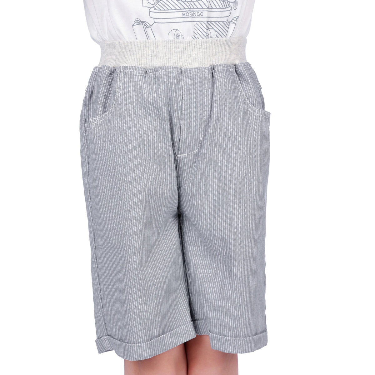 Gray Blue Striped Classic Shorts for Boys Image