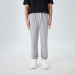 Light Gray Badge Street Look Pants for Men Image
