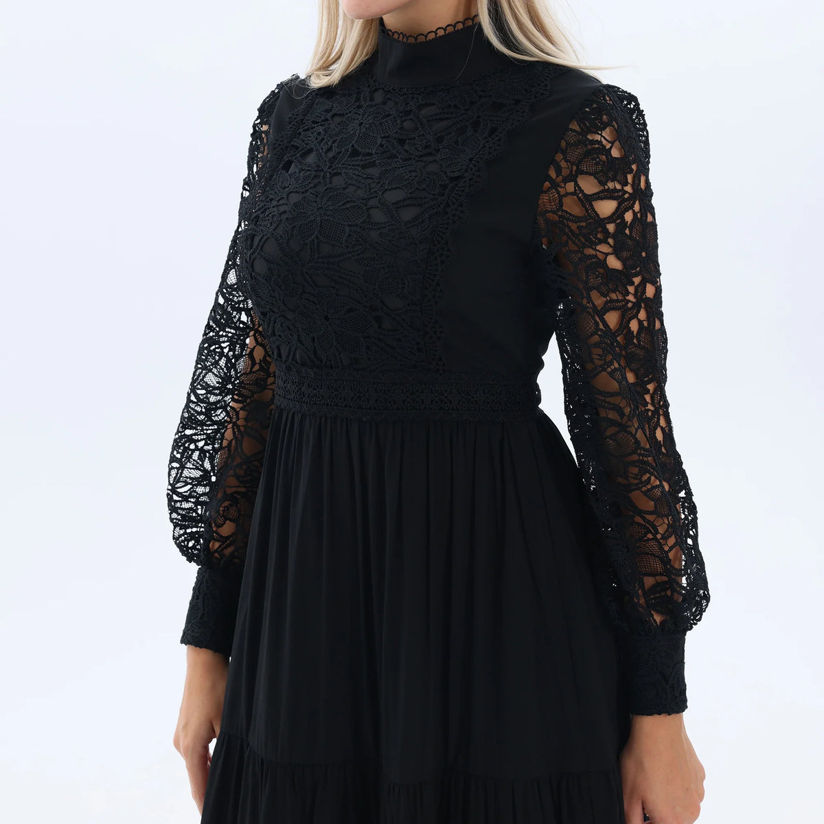 Laced Fashion Dress for Women Image
