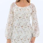 Laced Fashion Dress for Women Image