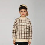 Khaki Sweater for Boys Image