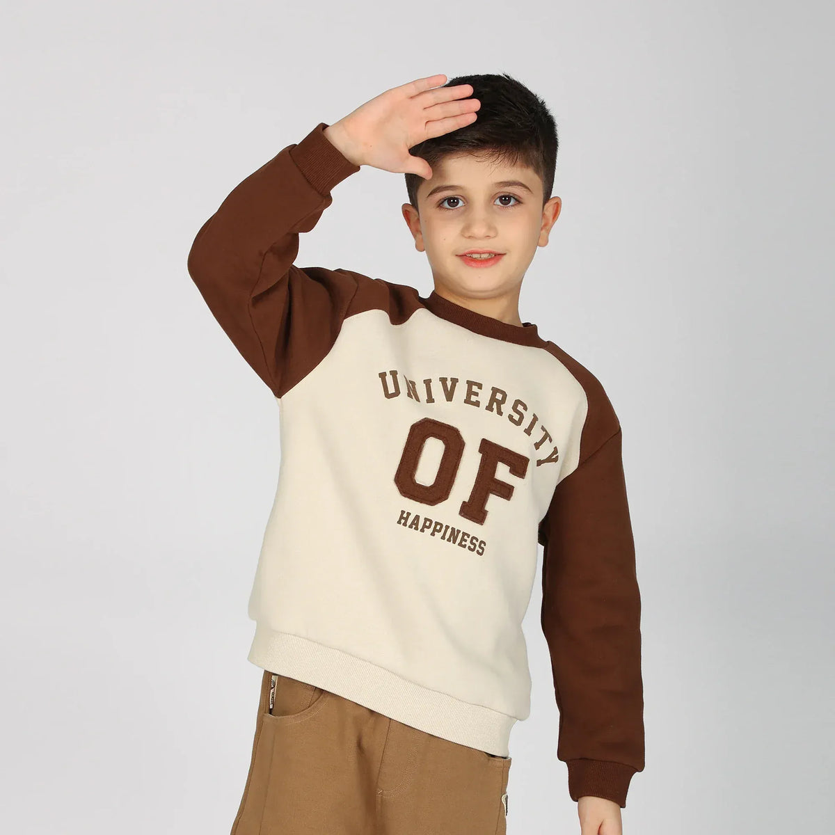 Beige Pullover for Boys Image