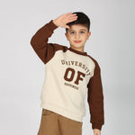 Beige Pullover for Boys Image