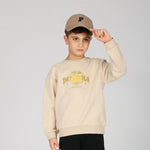 Beige Pullover for Boys Image