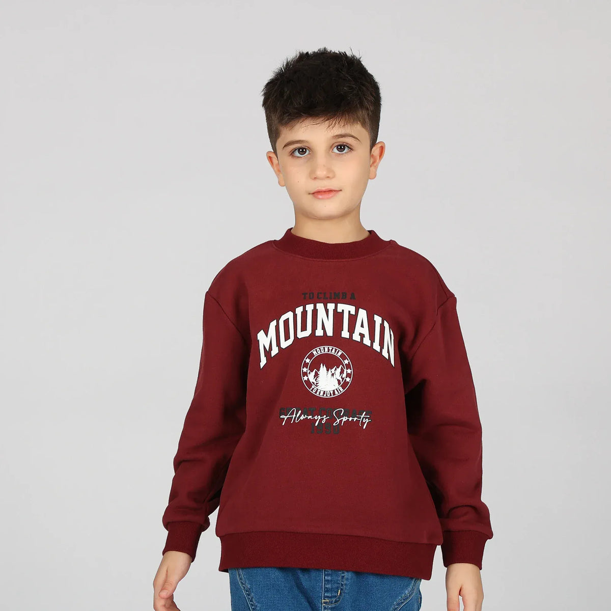 Maroon Pullover for Boys Image