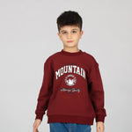 Maroon Pullover for Boys Image