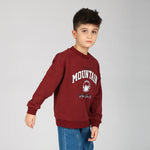 Pullover for Boys Image