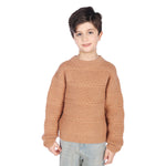 Camel Sweater for Boys Image