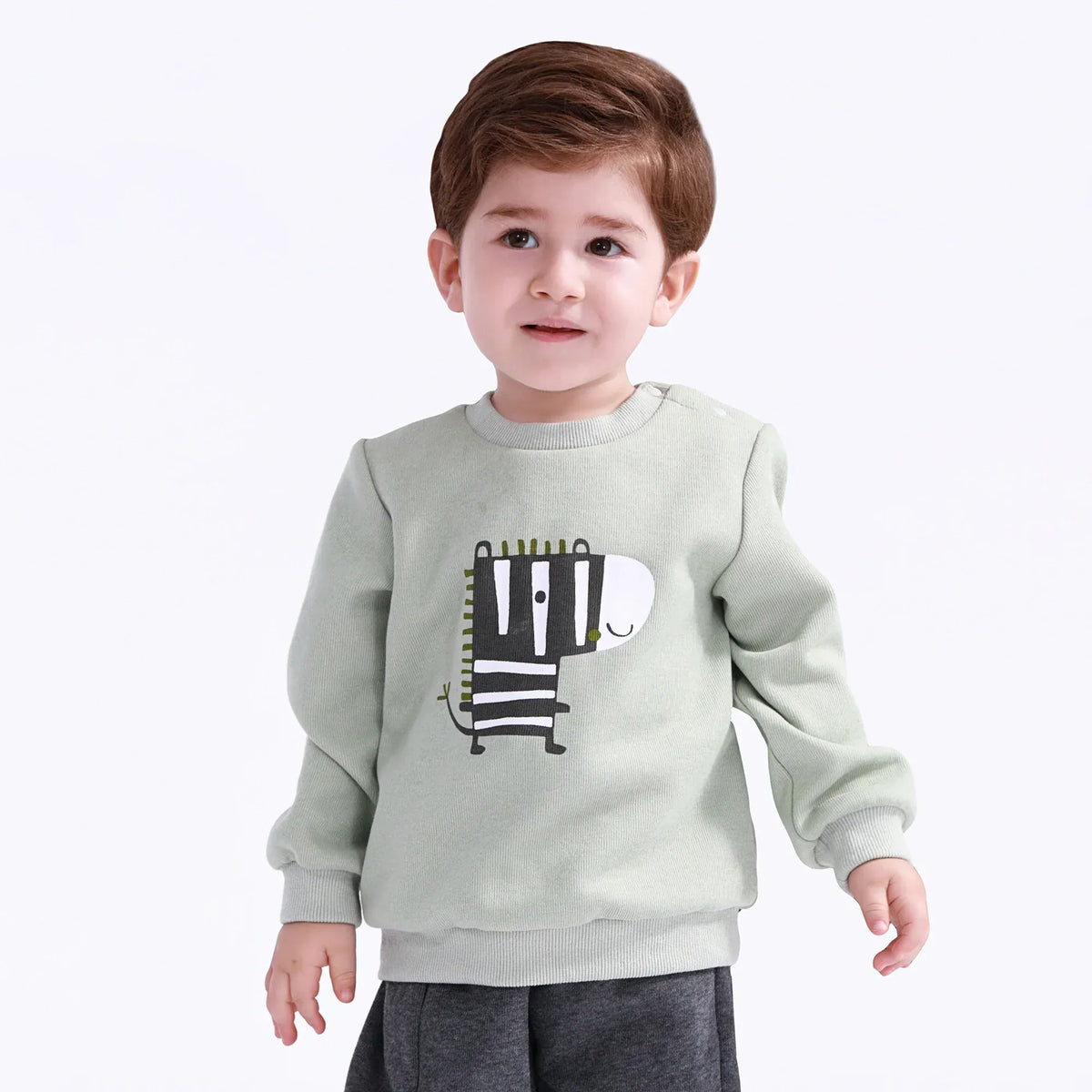 62 | 3-6M Bean Green 62 | 3-6M,31,53,24.5,- Printed Pullover for Baby Boy Image