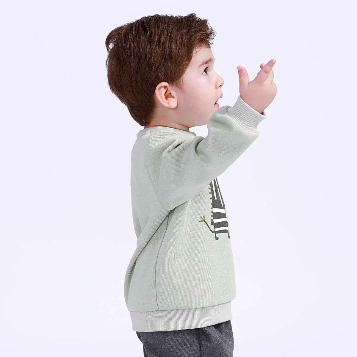 Printed Pullover for Baby Boy Image