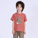 Iron Red Printed Street Look T.Shirt For Boys Image