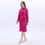Collar Velvet Fashion Dress For Women Image