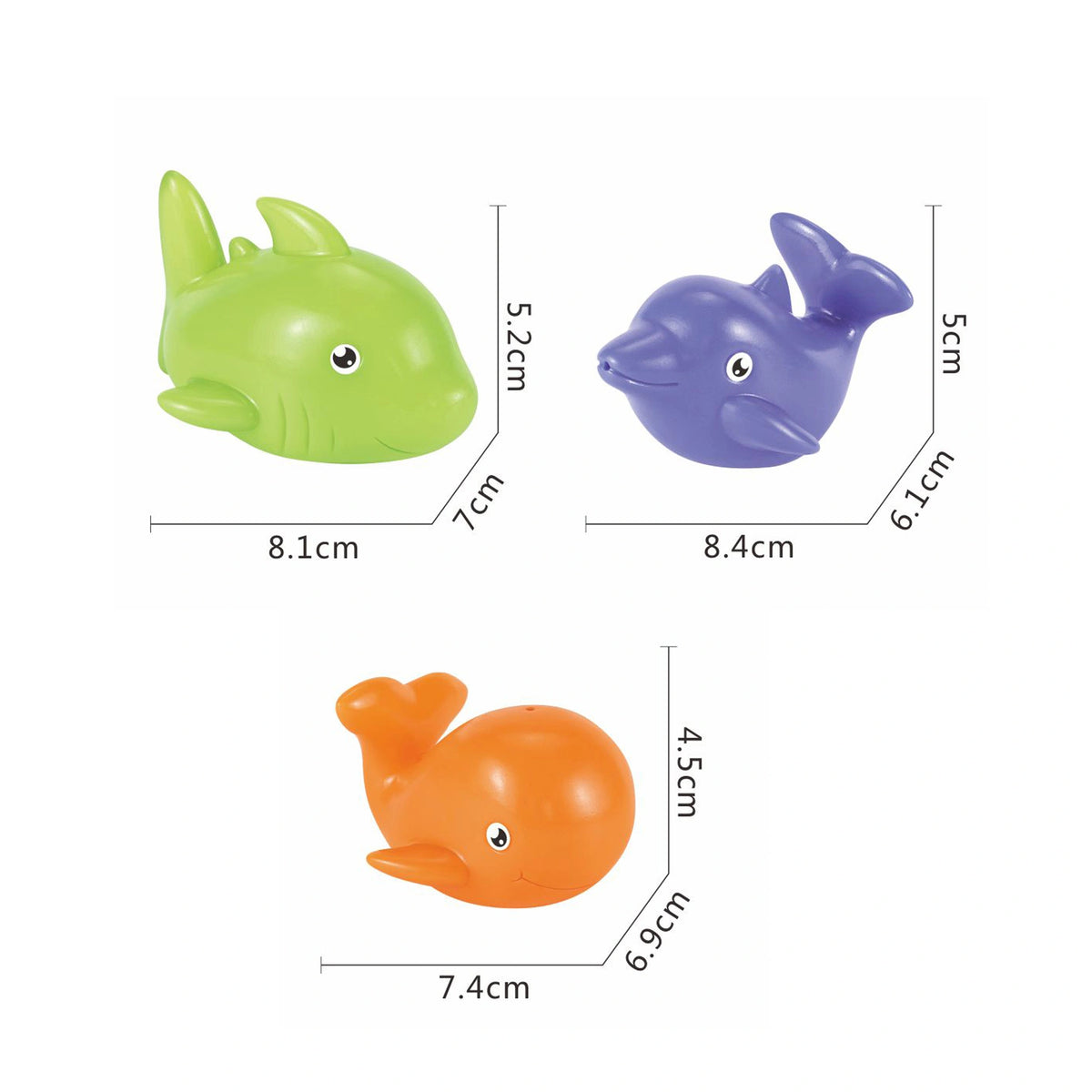 Squirting Sea Animals Image