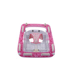 Baby Walker (6-12 Month) Image