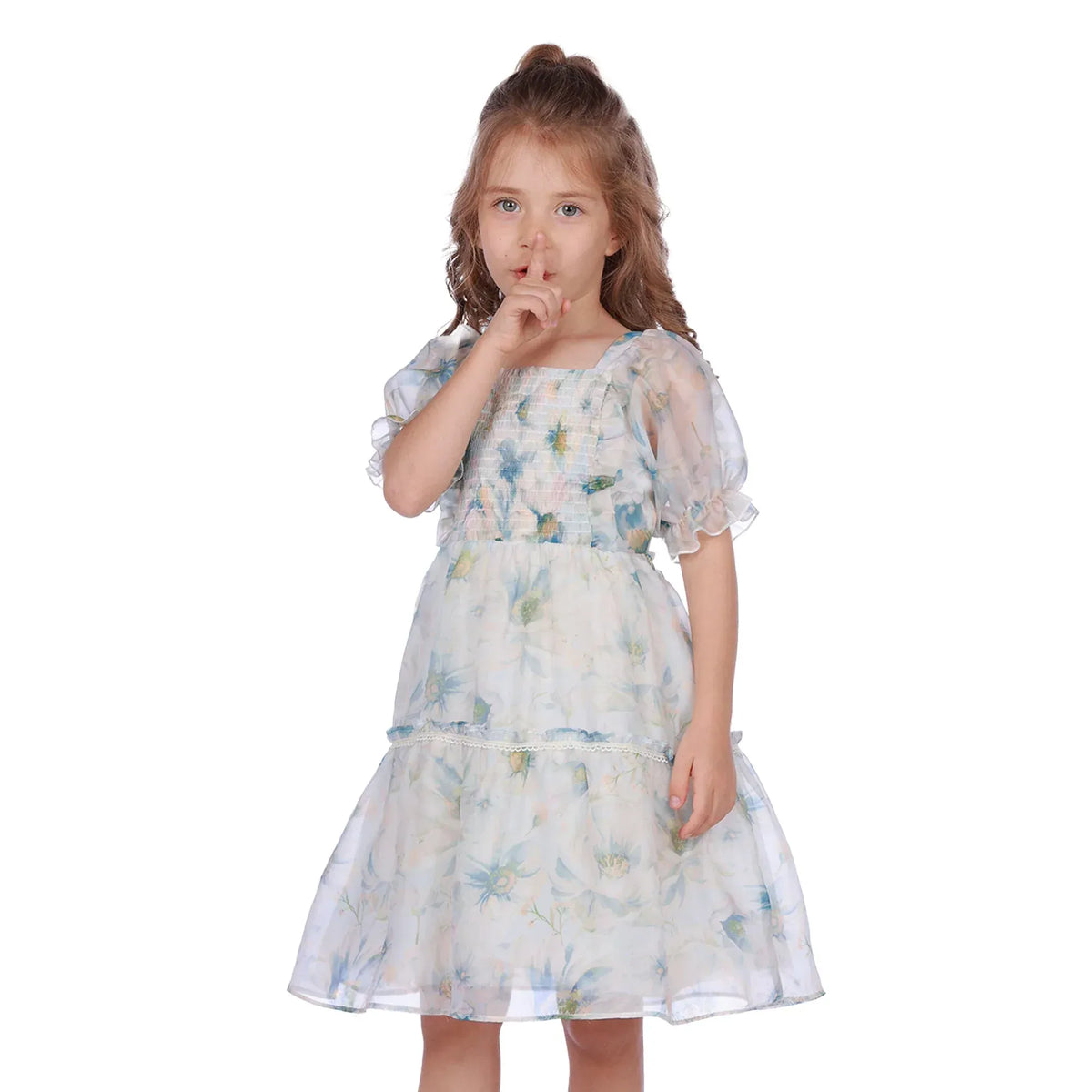 Powder Blue Floral Classic Dress For Girls Image