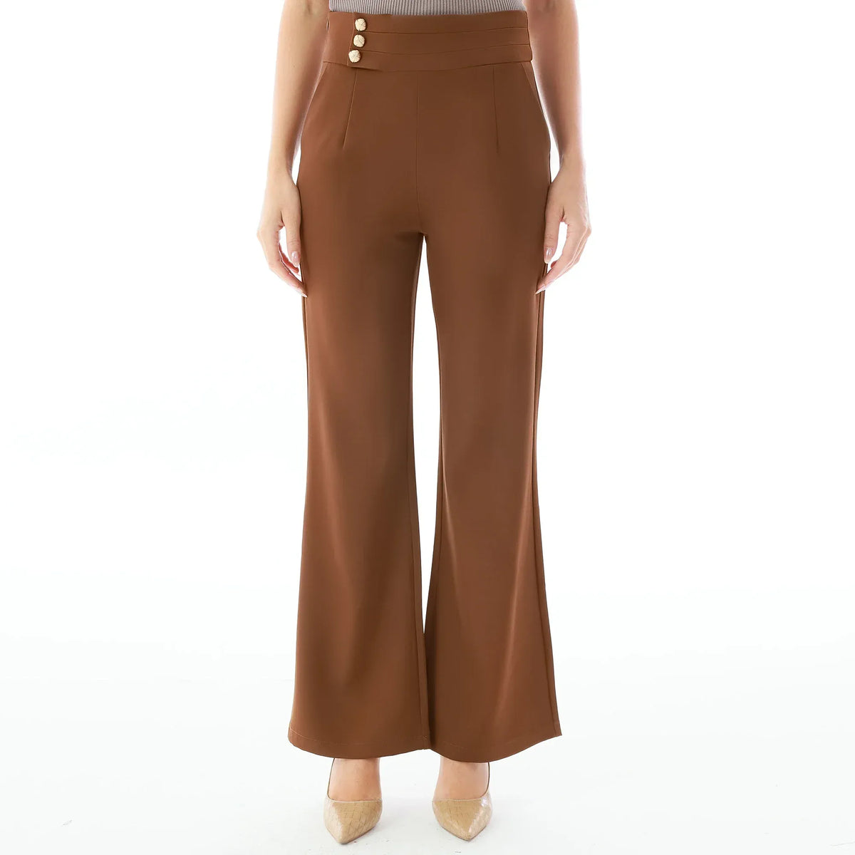 Brown Plain Pants for Women Image