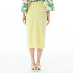 Plain Linen Skirt for Women Image