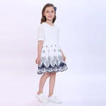 Embroidery Dress for Girls Image