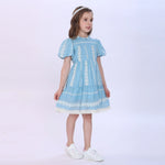 Embroidery Dress for Girls Image