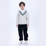 Light Grey Casual Color-Blocked Sweater for Boys Image