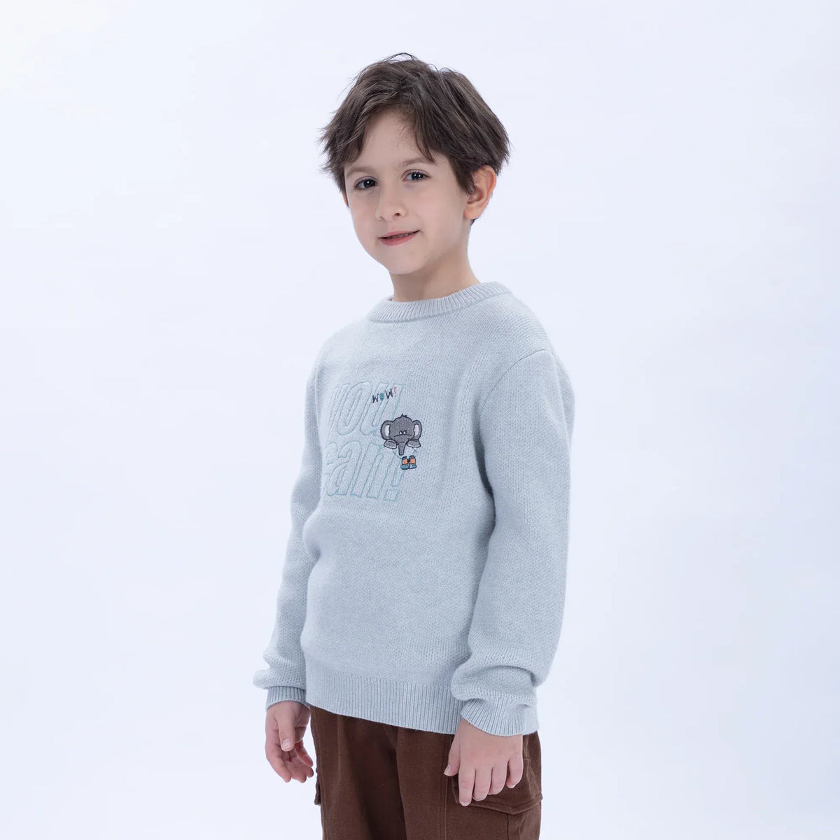 Casual Embroidery Sweater for Boys Image