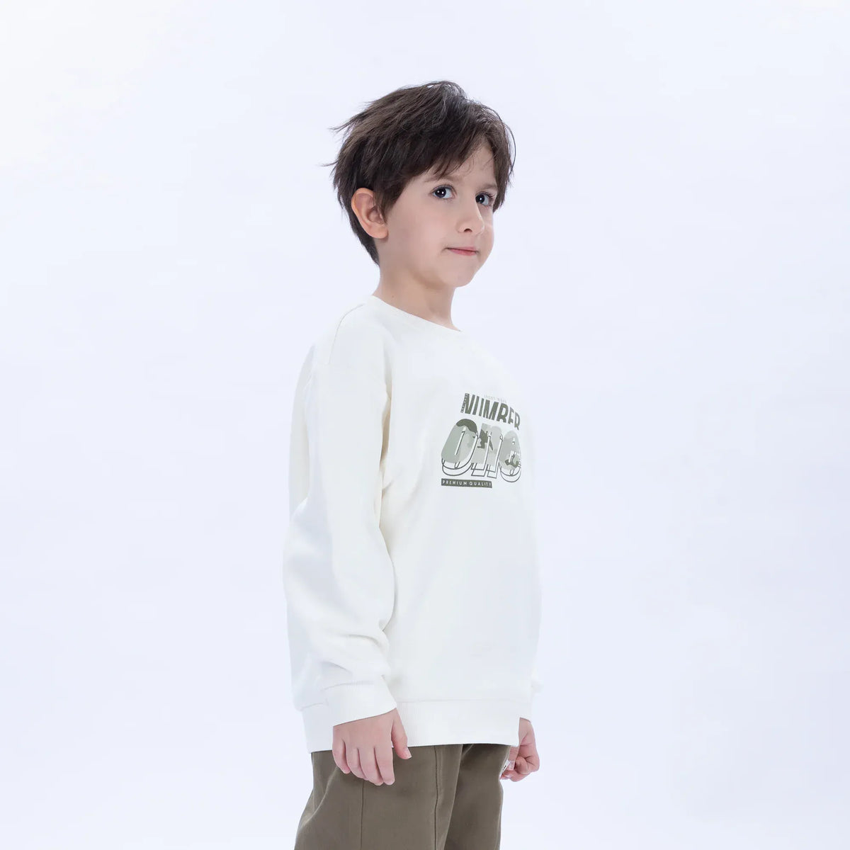 Casual Printed Sweatshirt for Boys Image