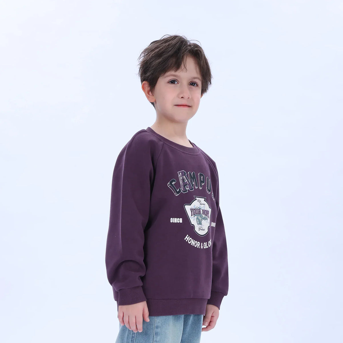 Casual Printed Sweatshirt for Boys Image