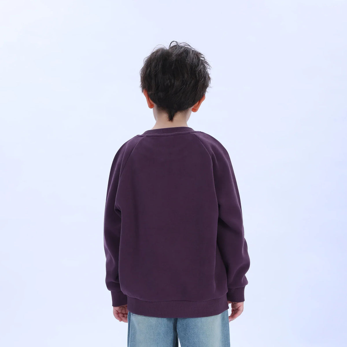 Casual Printed Sweatshirt for Boys Image
