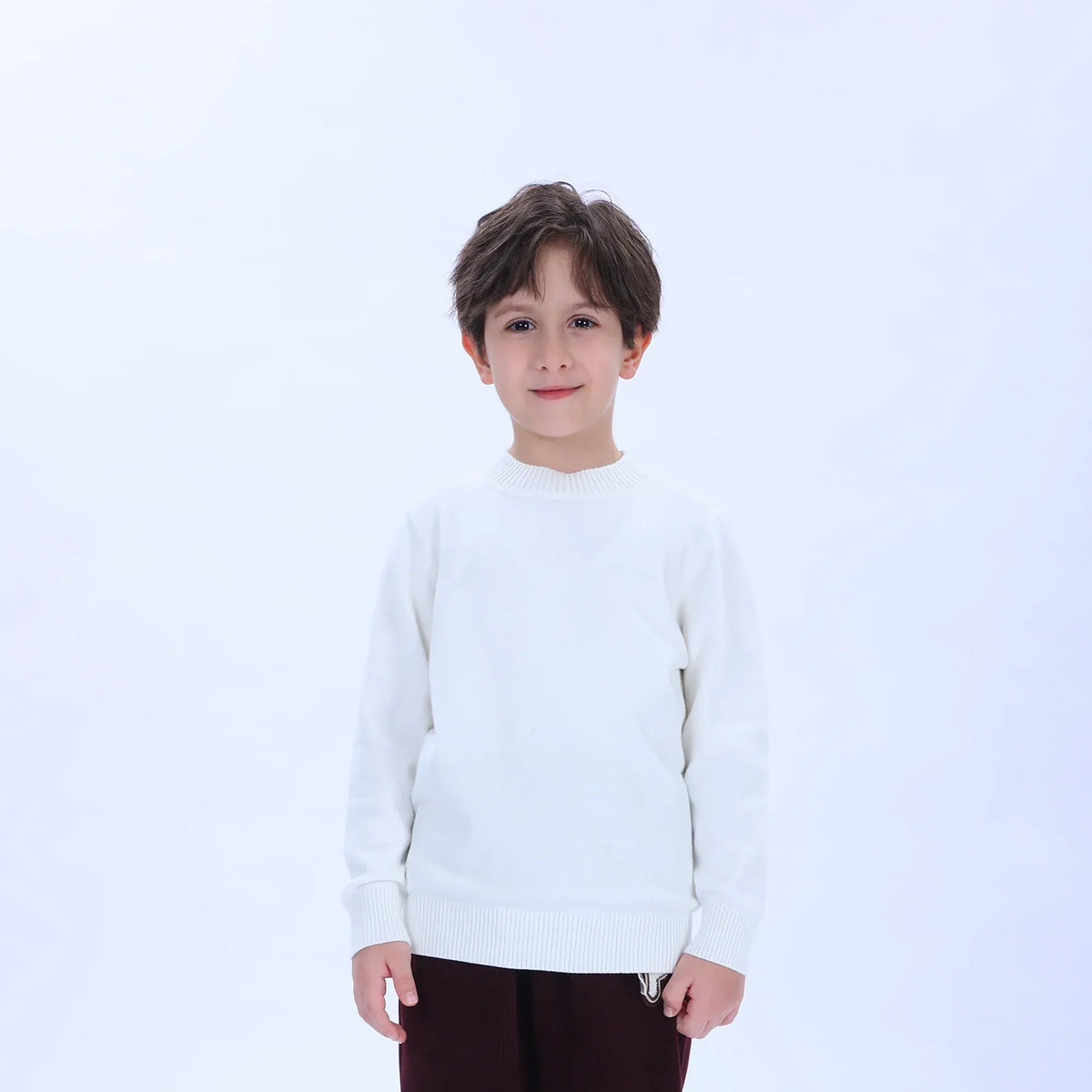 Casual Printed Sweater for Boys Image