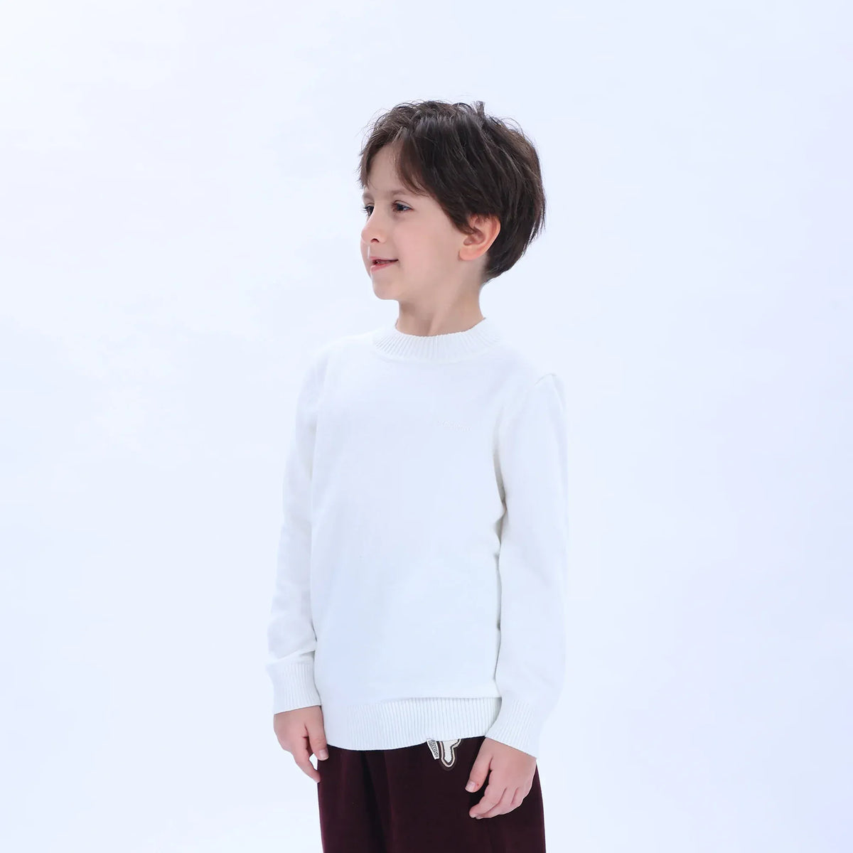 Casual Printed Sweater for Boys Image