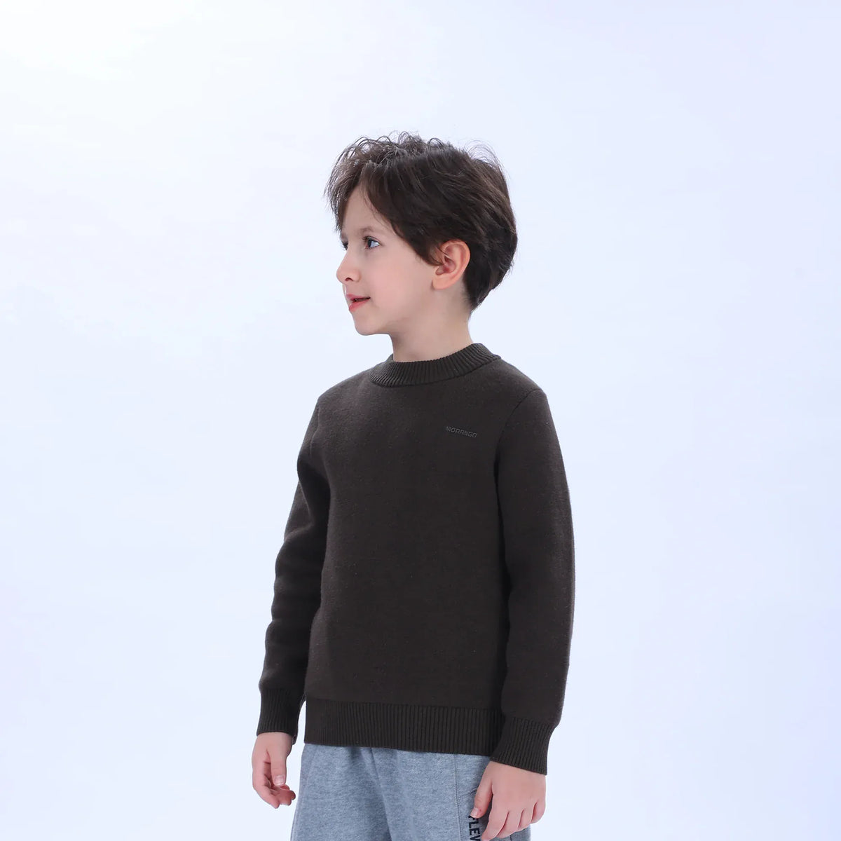 Casual Printed Sweater for Boys Image