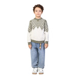 Beige Green Color-Blocked Classic Pullover for Boys Image