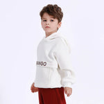 Casual Embroidery Hoodie for Boys Image