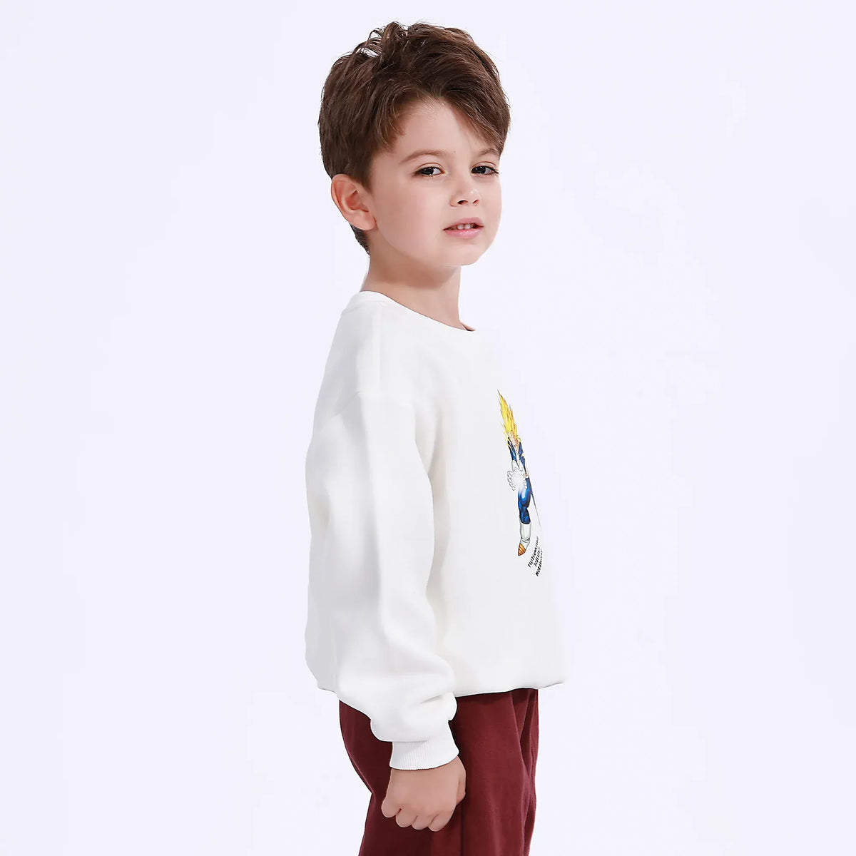 Casual Printed Sweatshirt for Boys Image