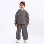 Grey Casual Printed Hoodie for Boys Image
