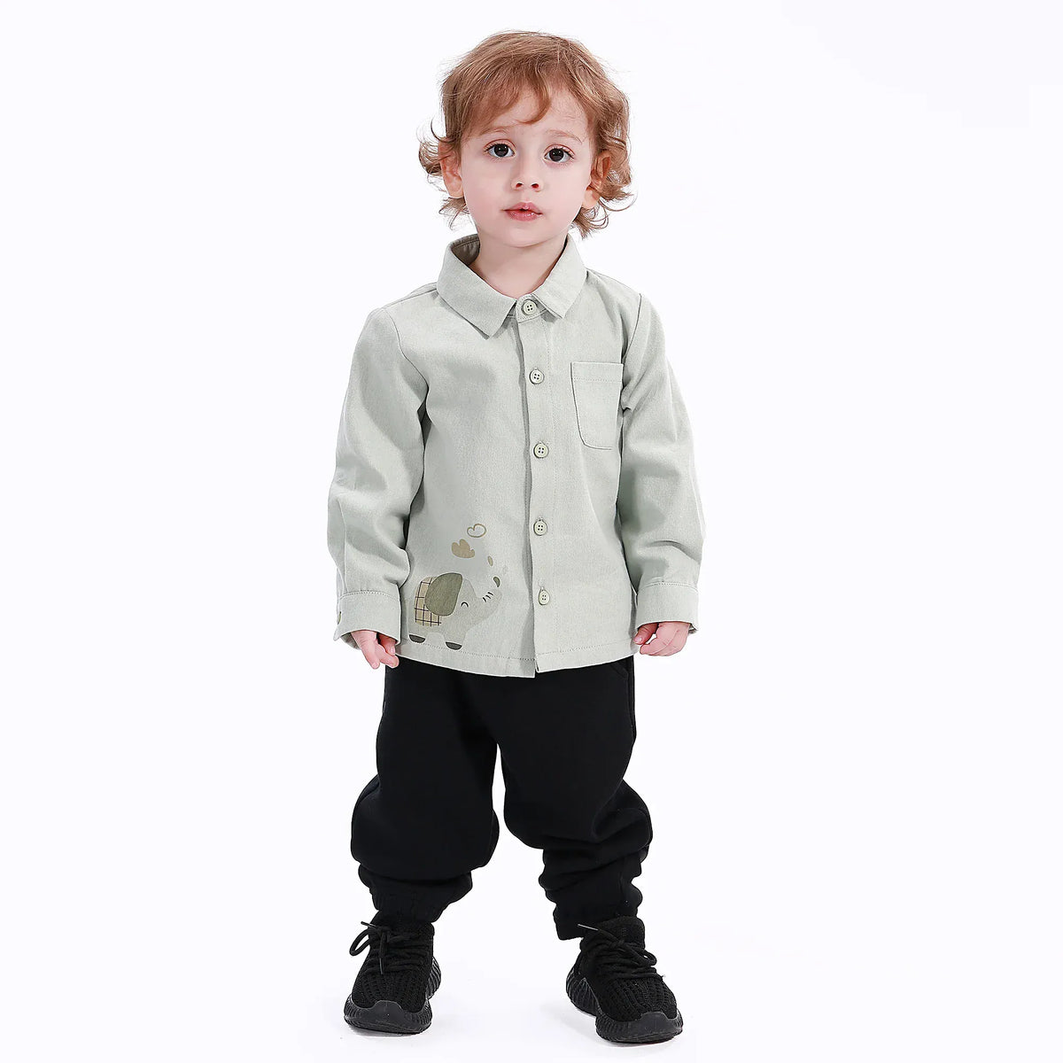 Light Green Casual Printed Shirt for Baby boy Image