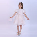 Light Pink laced Fashion Dress For Girls Image