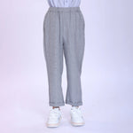 Grey Checked Fashion Pants For Boys Image