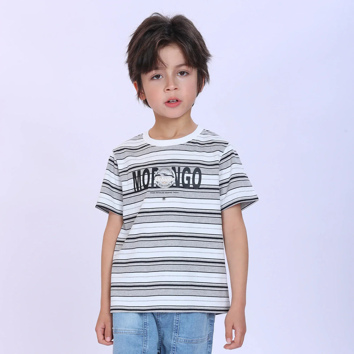Grey Striped Fashion T-Shirt For Boys Image