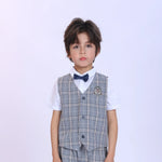 Grey Checked Fashion Waistcoat For Boys Image