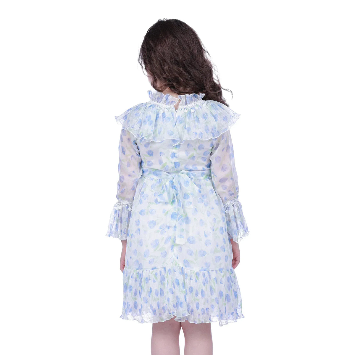 Floral Classic Dress For Girls Image
