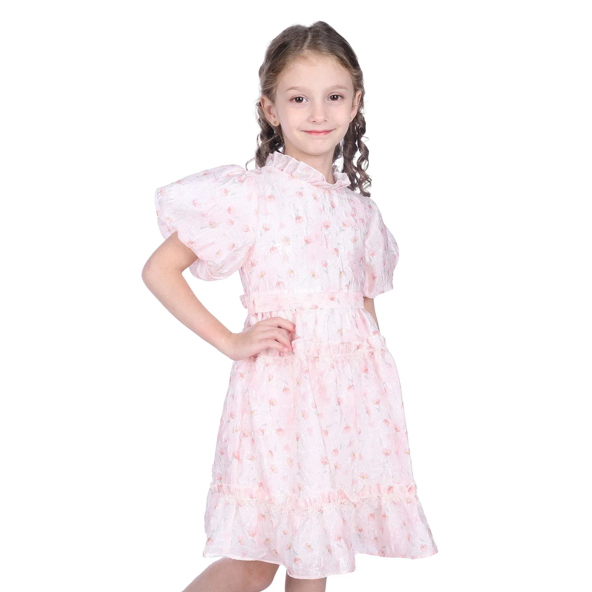 Floral Classic Dress for Girls Image
