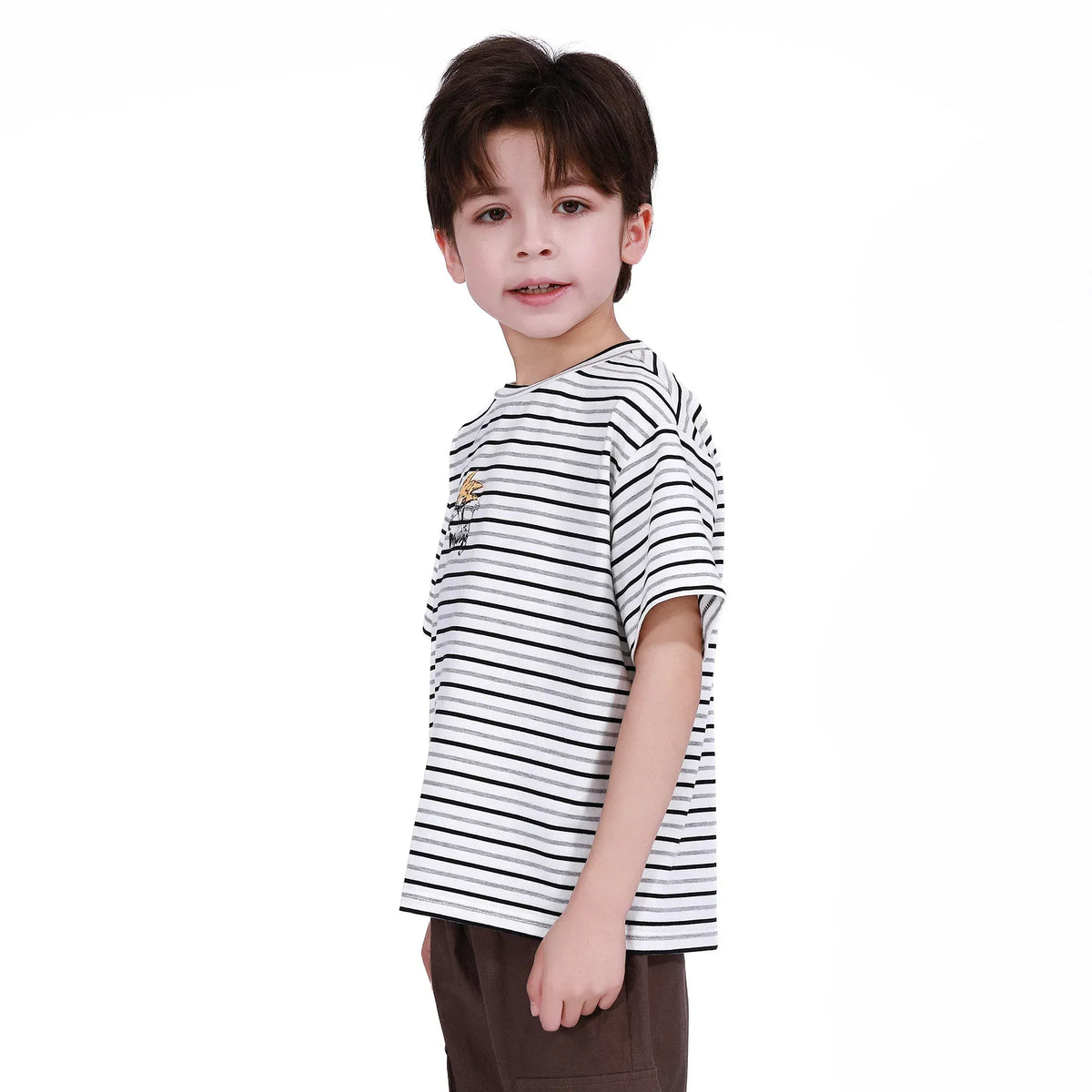 Striped T.Shirt for Boys Image