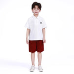Plain Shorts for Boys Image
