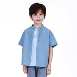 Blue Striped Shirt for Boys Image