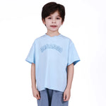 Blue Embroidery T.Shirt for Boys Image